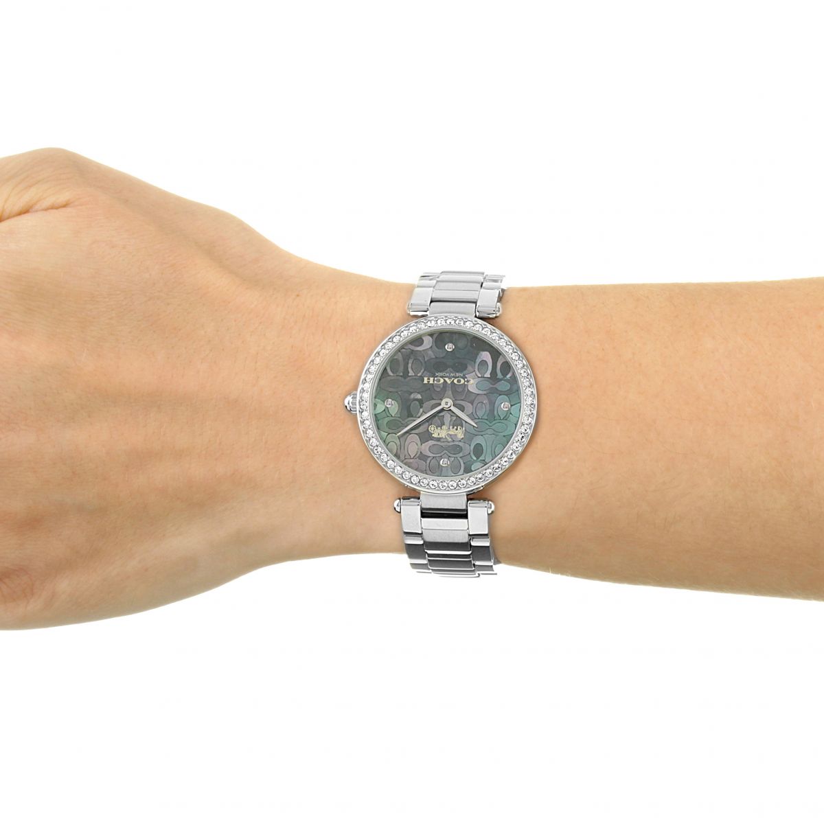 Coach Park Mother of Pearl Blue Dial Silver Steel Strap Watch for Women - 14503224