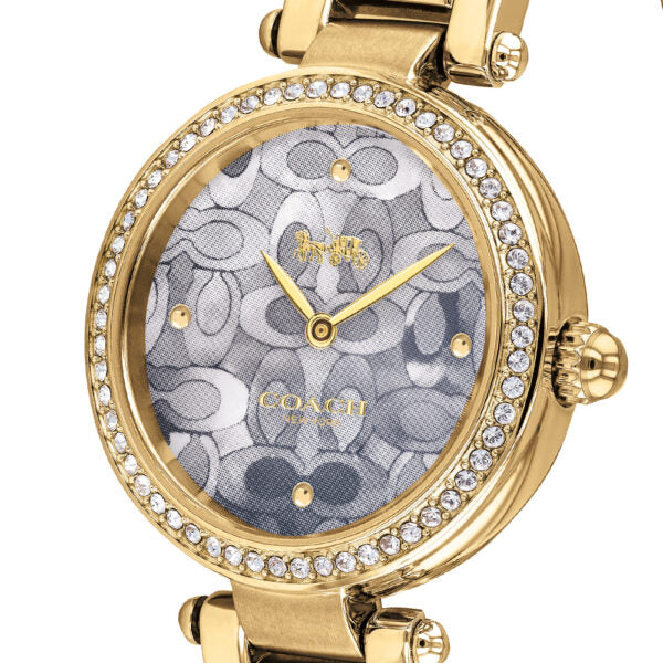 Coach Park Blue Dial Gold Steel Strap Watch for Women - 14503225