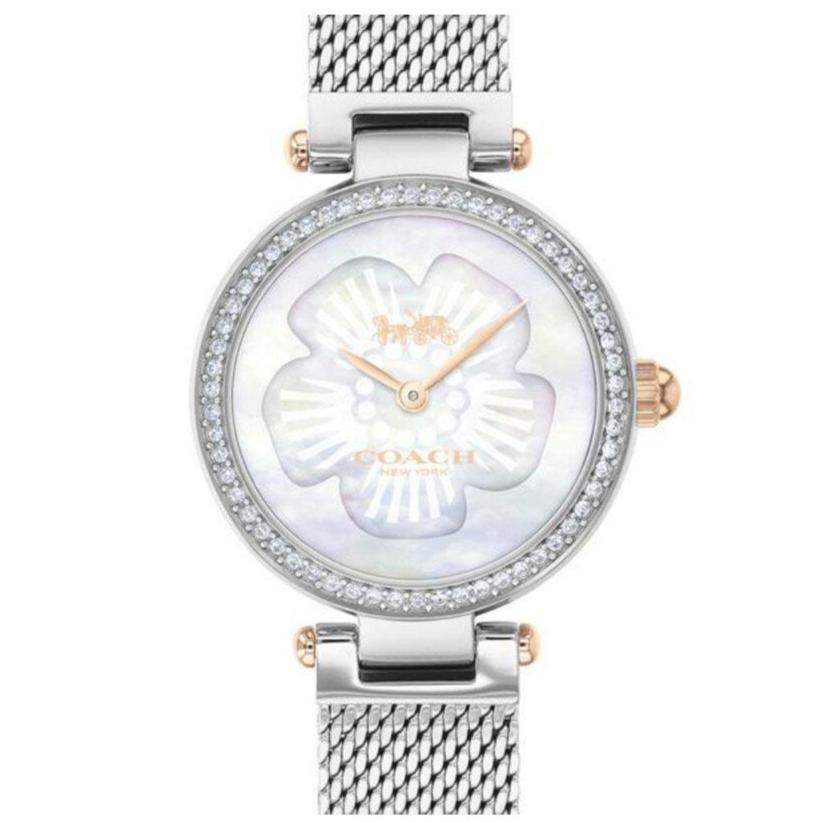 Coach Park Mother of Pearl Dial Silver Mesh Bracelet Watch for Women - 14503510