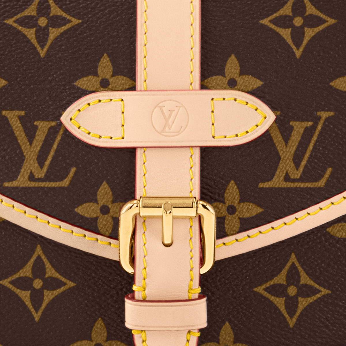 Louis Vuitton Saumur BB Handbag - Brown