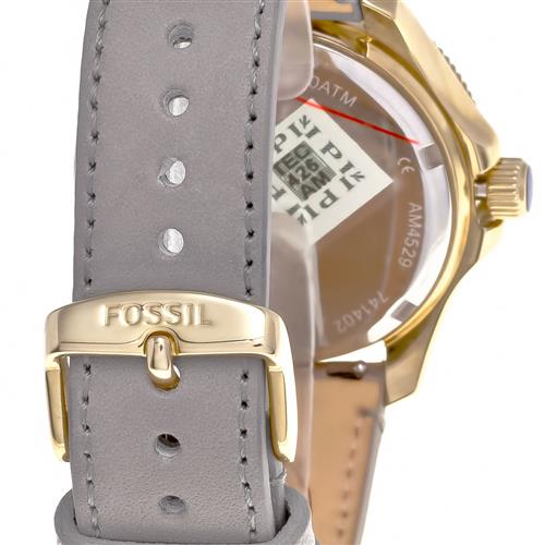 Fossil Cecile Champagne Dial Grey Leather Strap Watch for Women - AM4529