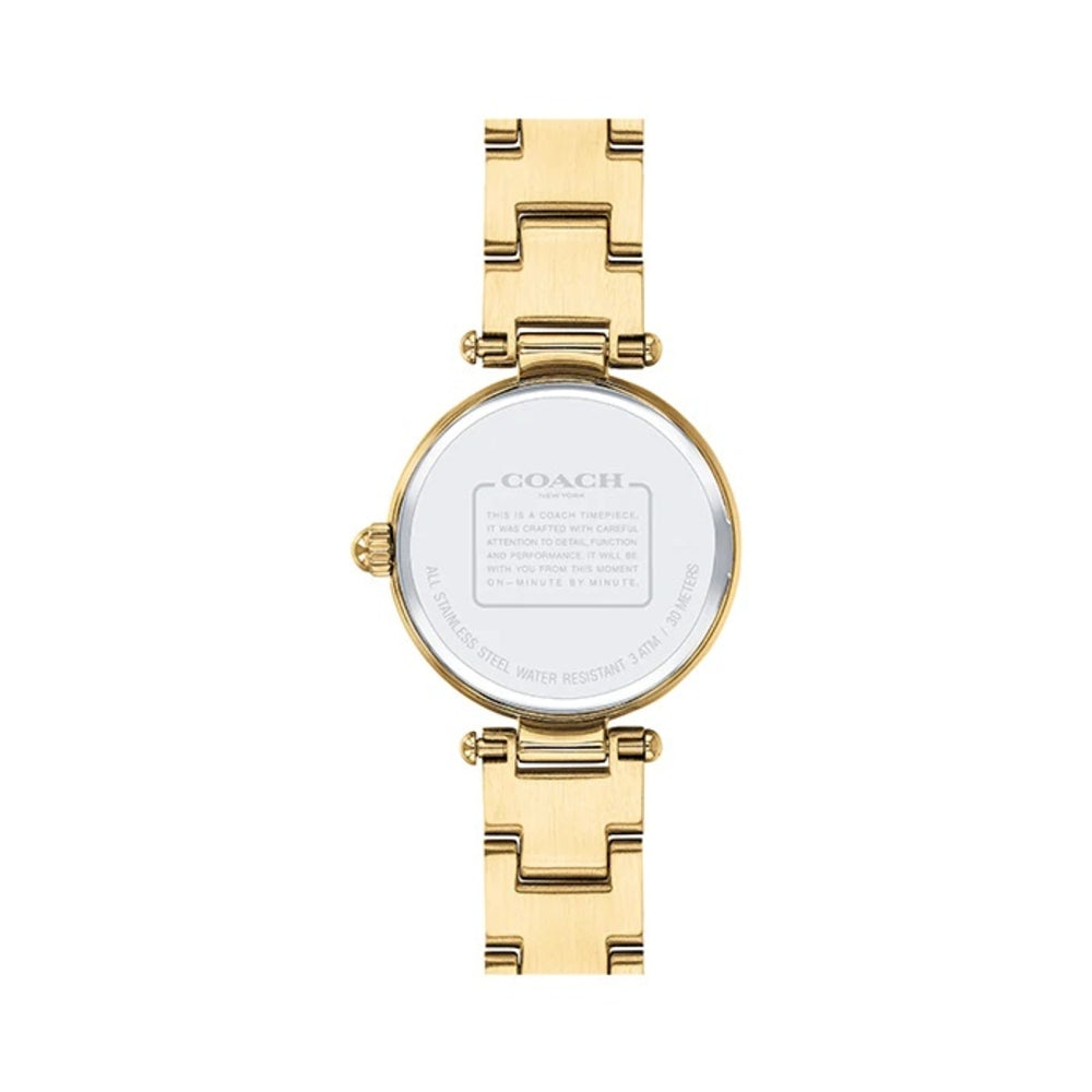 Coach Park Blue Dial Gold Steel Strap Watch for Women - 14503225