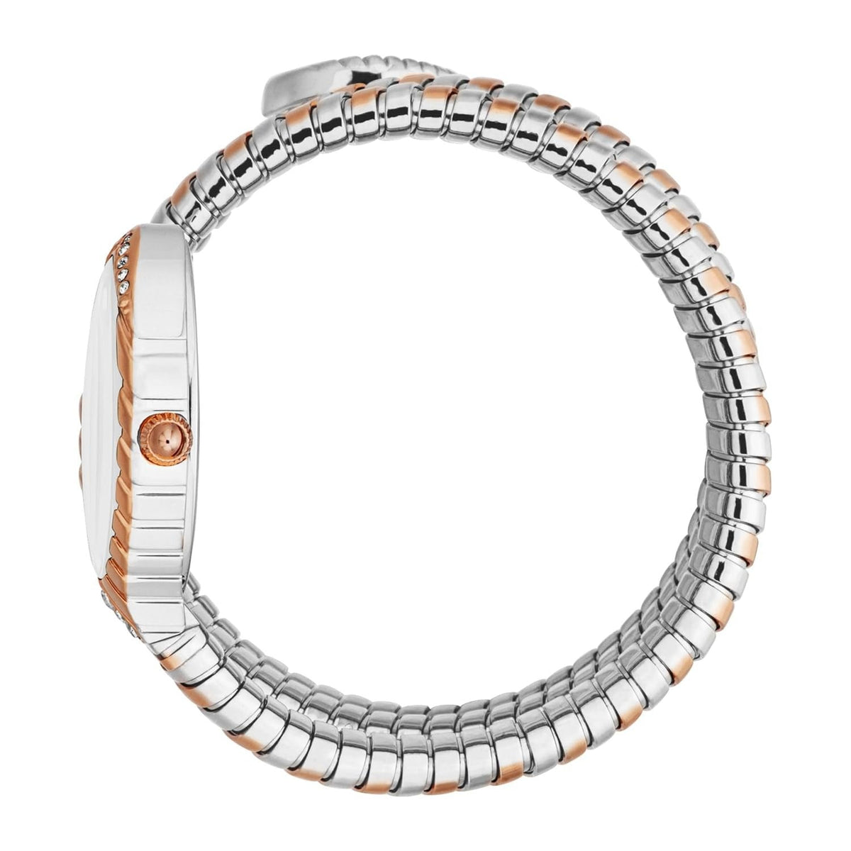 Just Cavalli Specchio Silver Dial Two Tone Steel Strap Watch for Women - JC1L323M0065