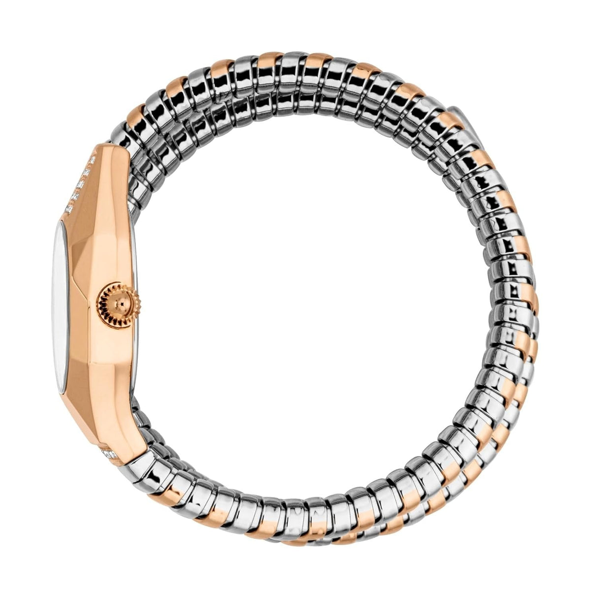 Just Cavalli Lunara Silver Dial Two Tone Steel Strap Watch for Women - JC1L397M0075