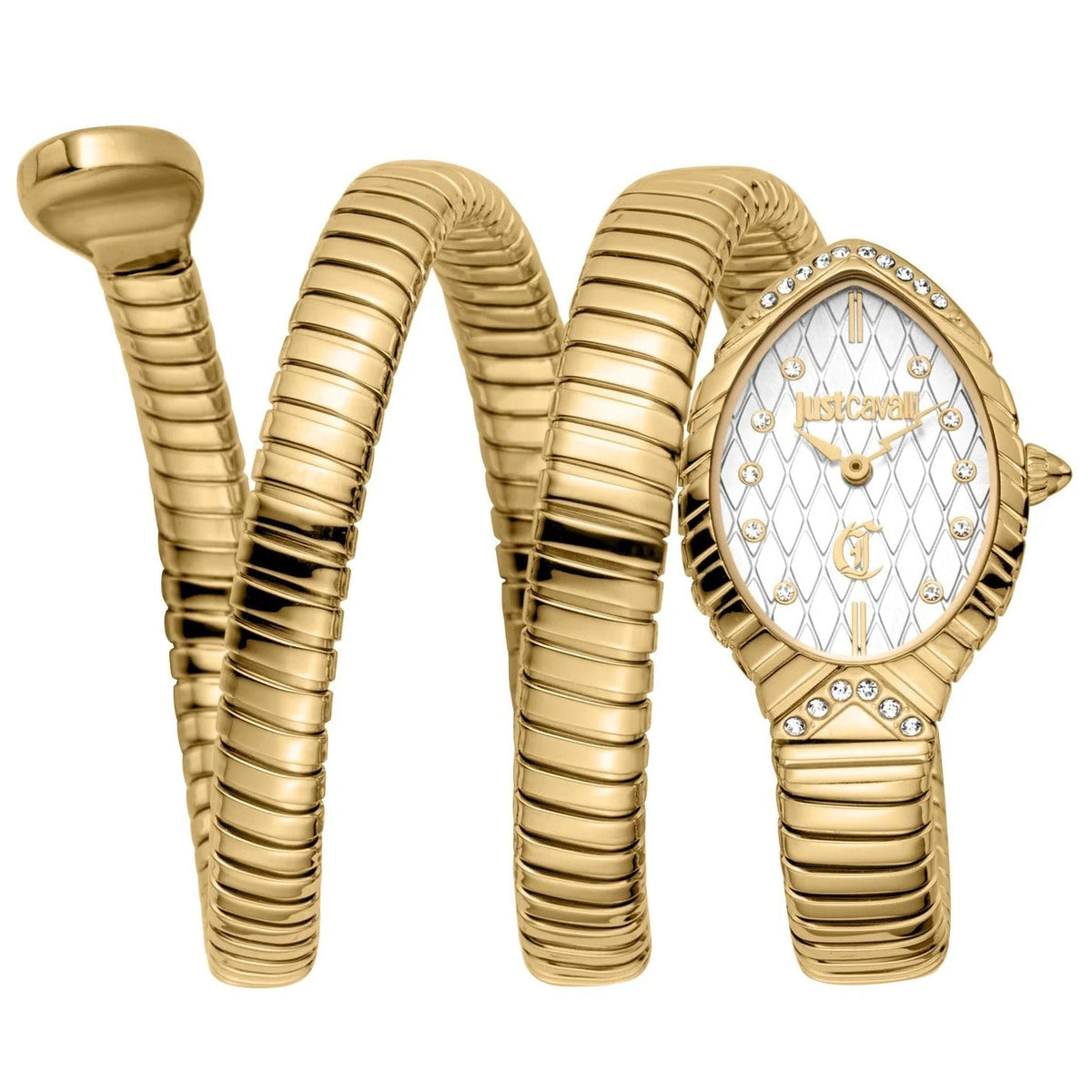 Just Cavalli Specchio Silver Dial Gold Steel Strap Watch for Women - JC1L323M0025