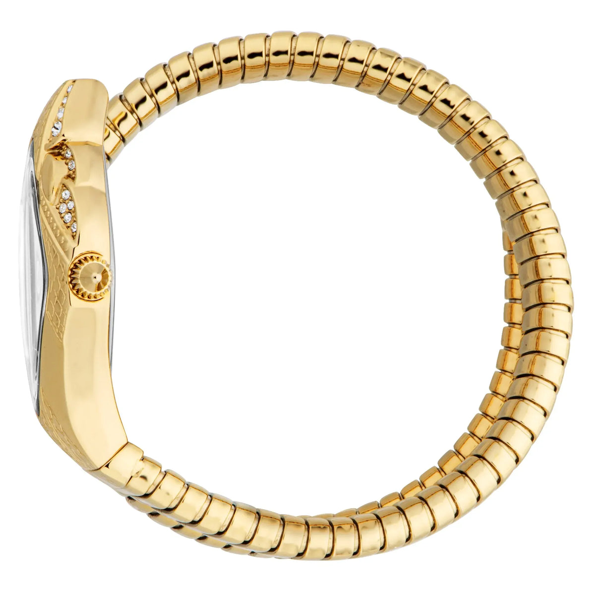 Just Cavalli Ferocious Silver Dial Gold Steel Strap Watch for Women - JC1L306M0035