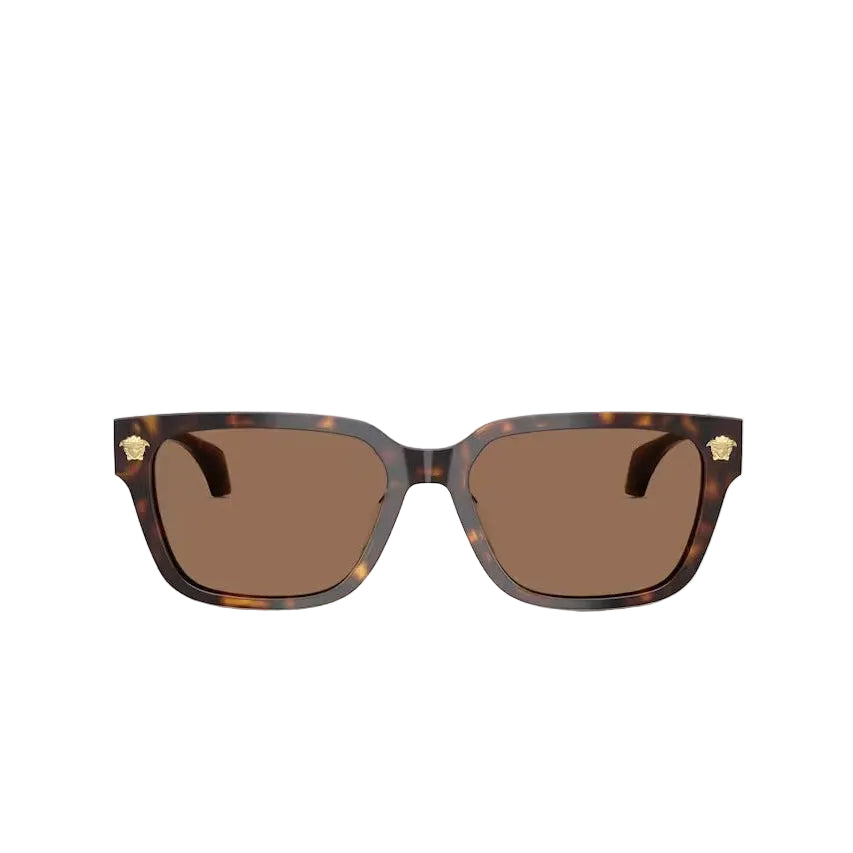 Versace Men Rectangular Frame Tortoiseshell Sunglasses
