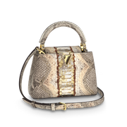 Louis Vuitton Capucines Mini Bag – Gold Silver