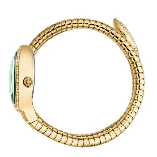 Just Cavalli Carezza Green Dial Gold Steel Strap Watch for Women - JC1L372M0035