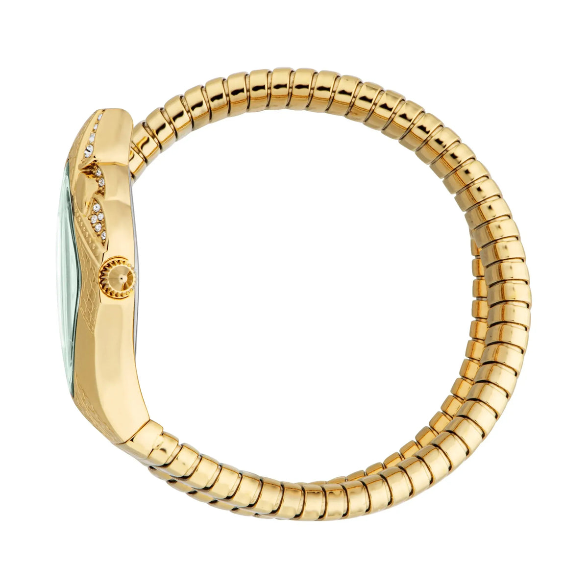 Just Cavalli Brillante Green Dial Gold Steel Strap Watch for Women - JC1L326M0035
