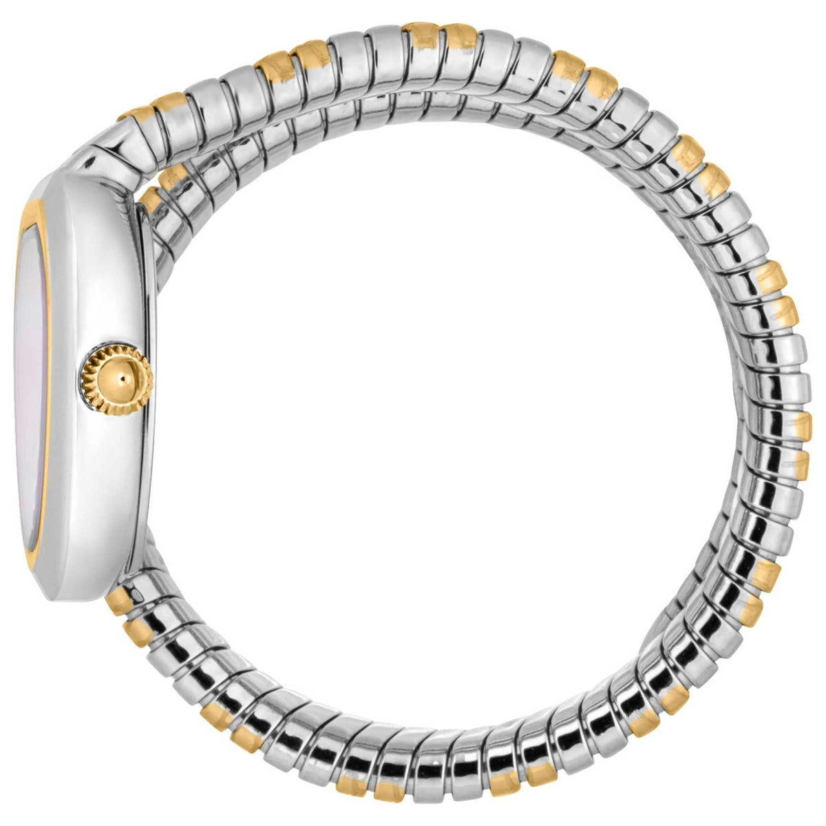 Just Cavalli Aversa Mother of Pearl Dial Two Tone Steel Strap Watch for Women - JC1L222M0055