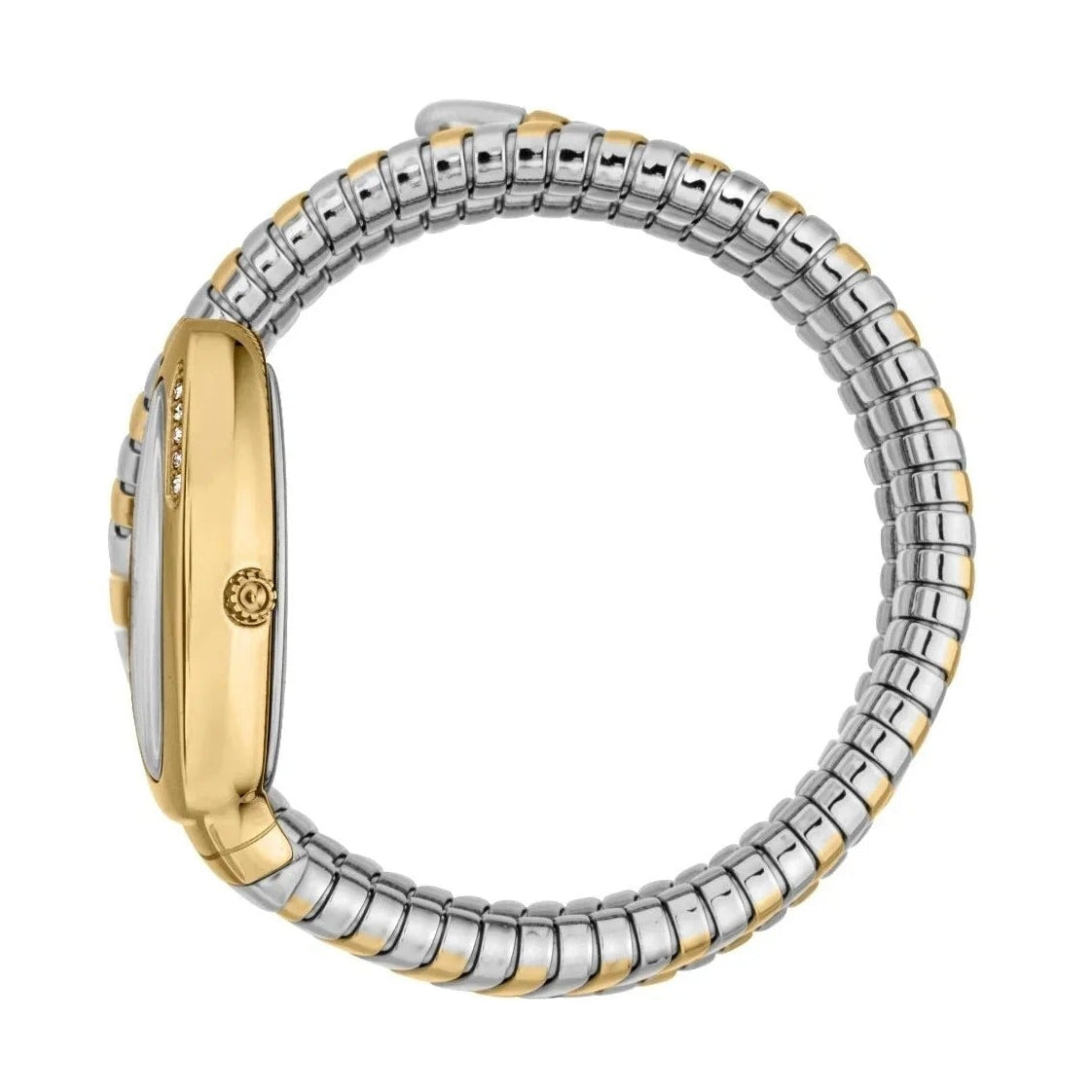 Just Cavalli Vezzoso Silver Dial Two Tone Steel Strap Watch for Women - JC1L230M0065