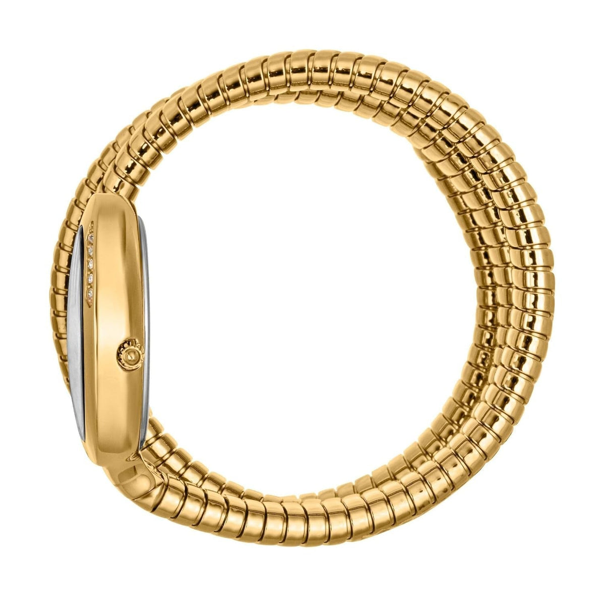 Just Cavalli Glam Evo 5 Silver Dial Gold Steel Strap Watch for Women - JC1L228M0035