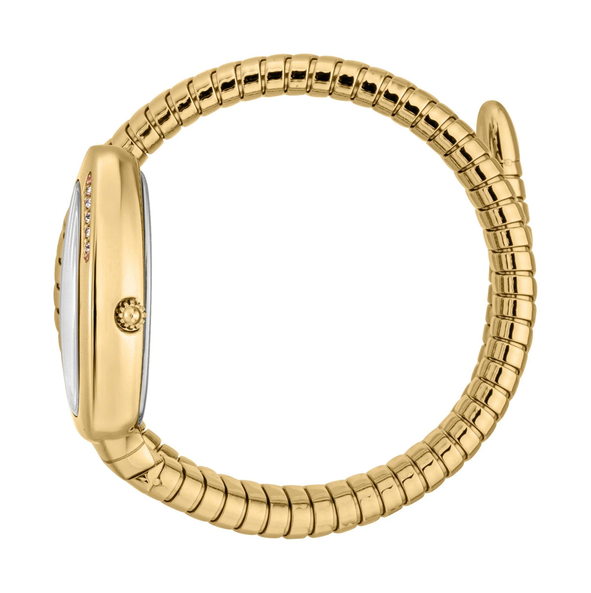 Just Cavalli Glam Evo 5 Silver Dial Gold Steel Strap Watch for Women - JC1L227M0035