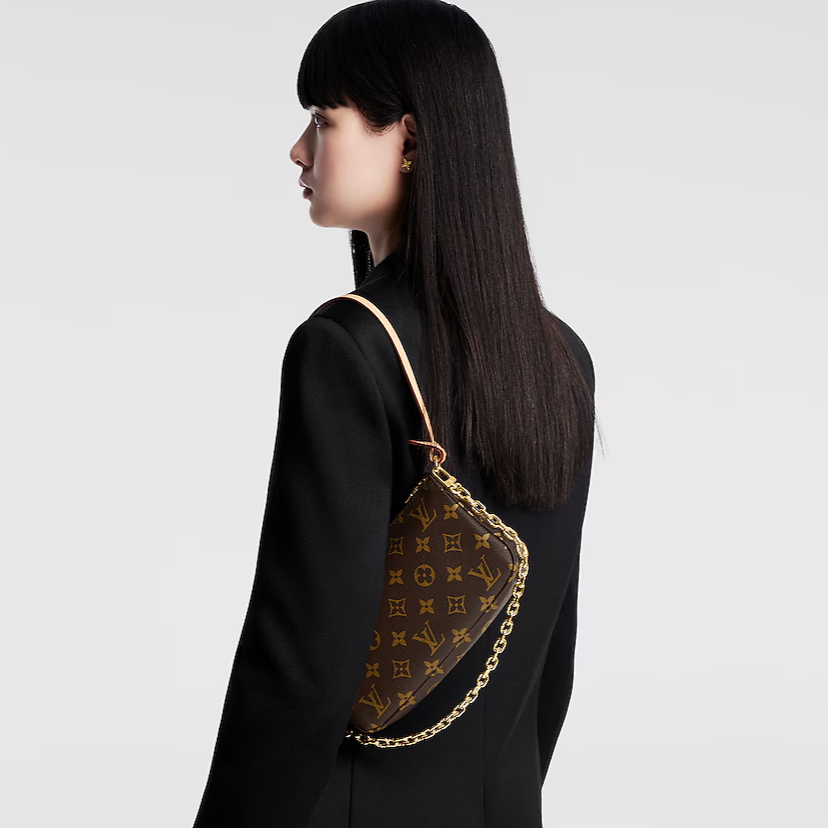 Louis Vuitton Monogram Canvas Pochette Accessoires - Dark Brown