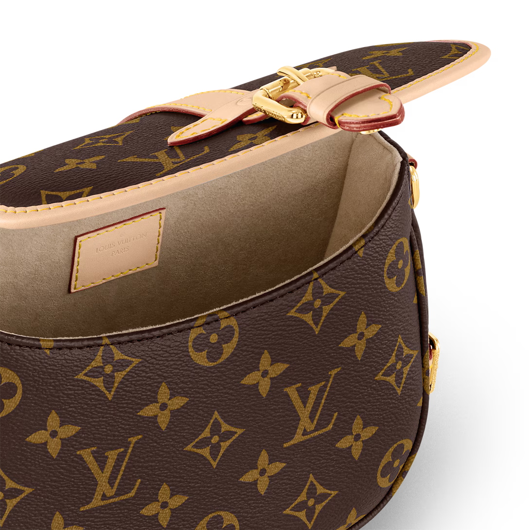 Louis Vuitton Saumur BB Handbag - Brown