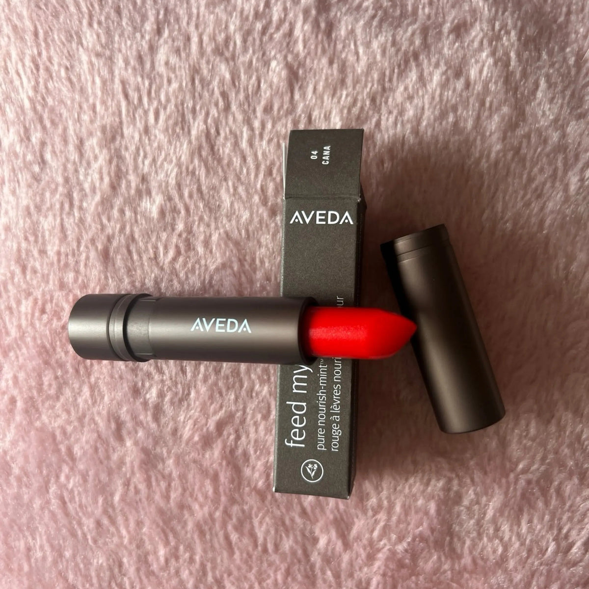Aveda Feed My Lips Pure Nourish-Mint Lipstick - 04 Cana