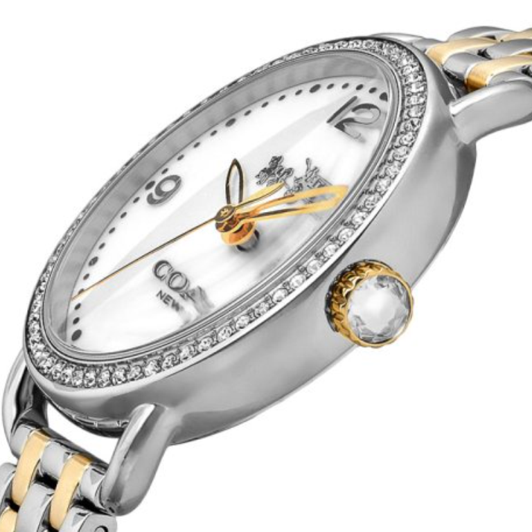 Coach Delancey Mother of Pearl White Dial Two Tone Steel Strap Watch for Women - 14502480